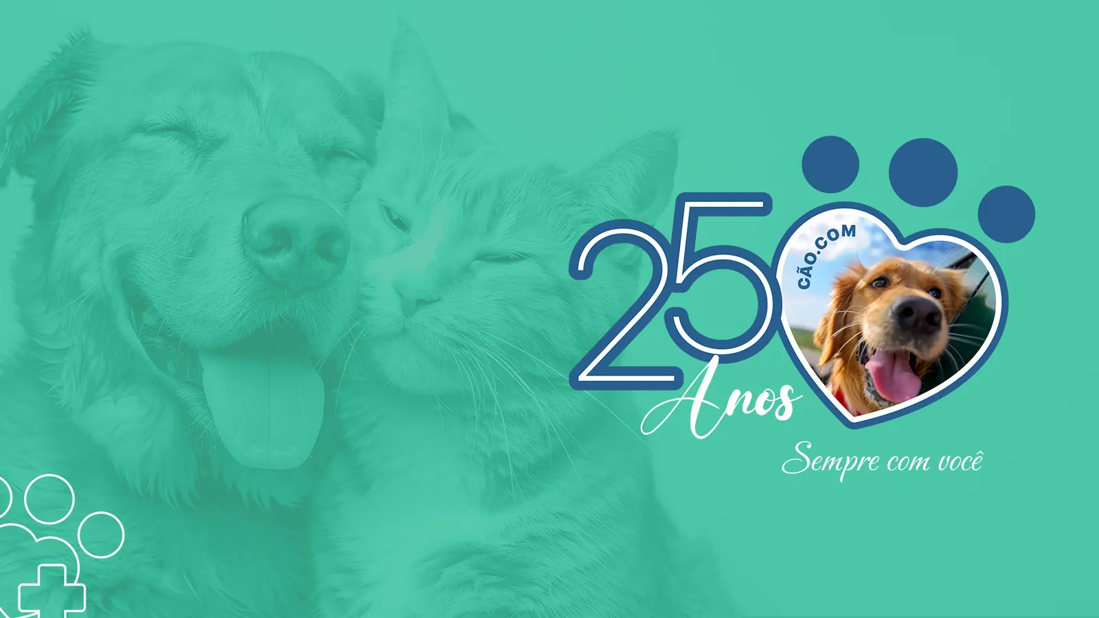Cão.Com: 25 Anos de Amor, Inovação e Cuidado com a Vida Animal