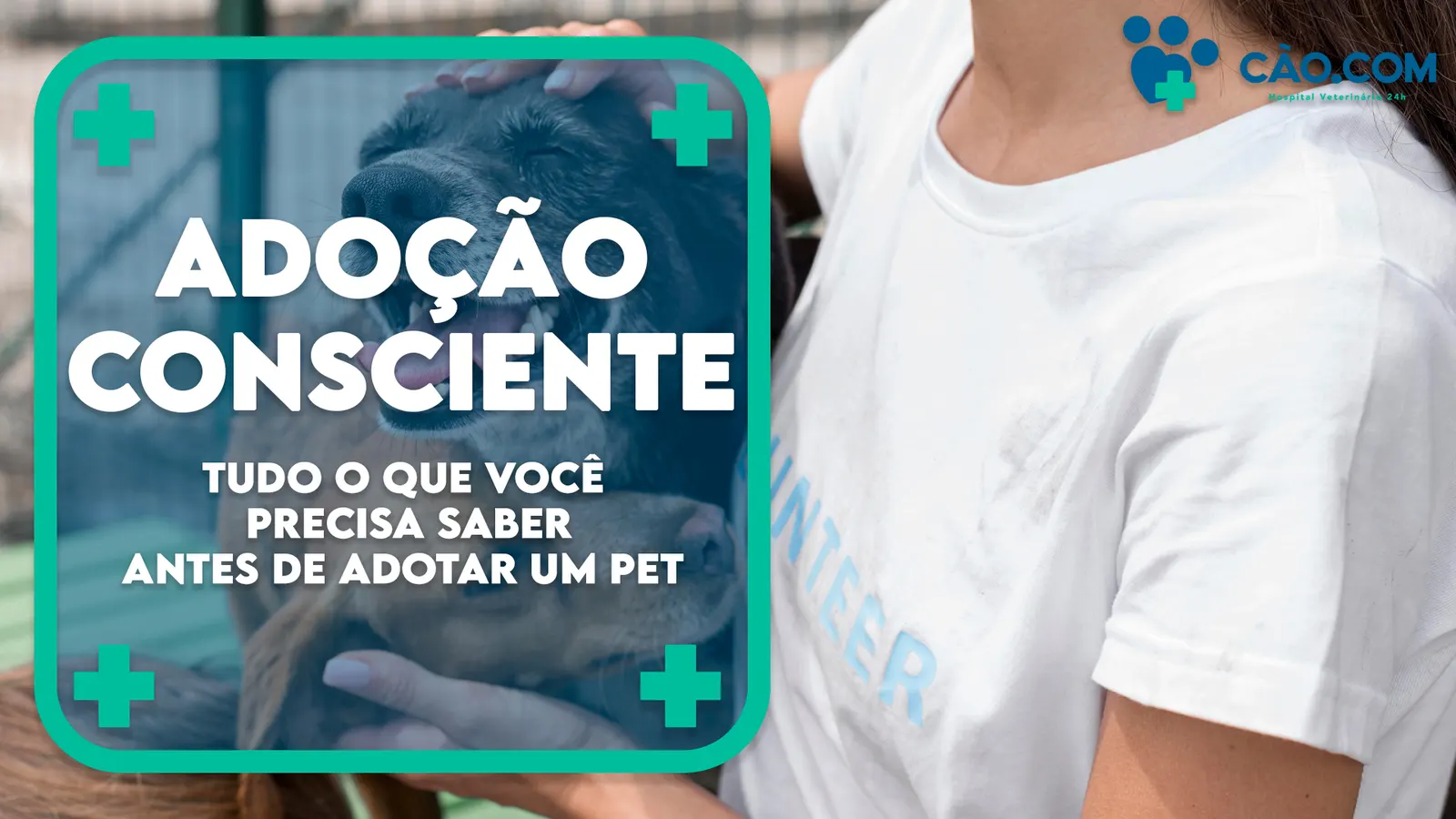 Adoção Consciente: tudo o que você precisa saber antes de Adotar um Pet