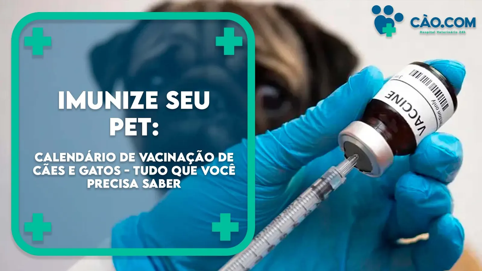 Imunize seu Pet: Calendário de Vacinação de Cães e Gatos