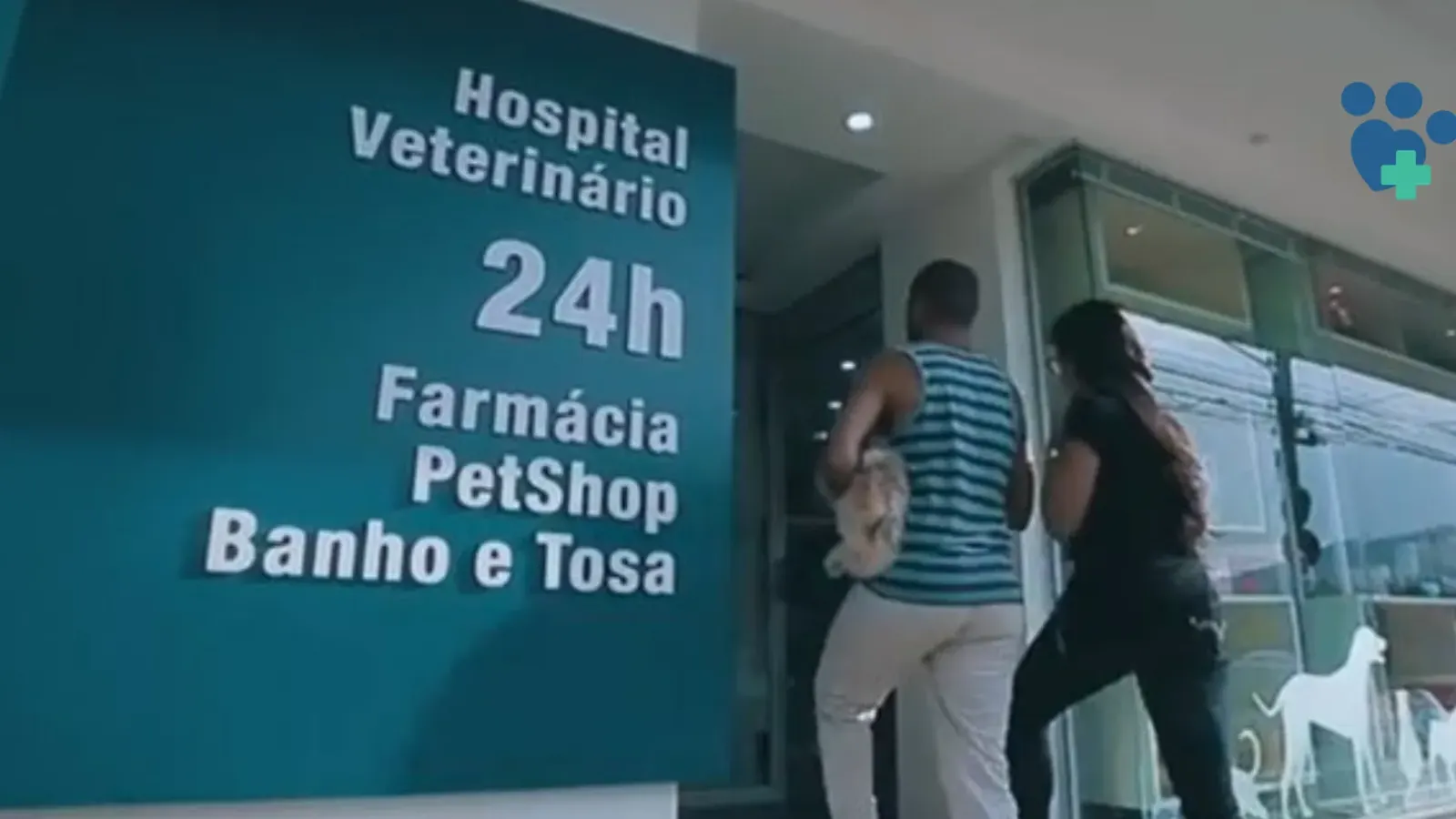 Cão.Com 24h? Conheça nossa Estrutura de Pronto Atendimento para Emergências
