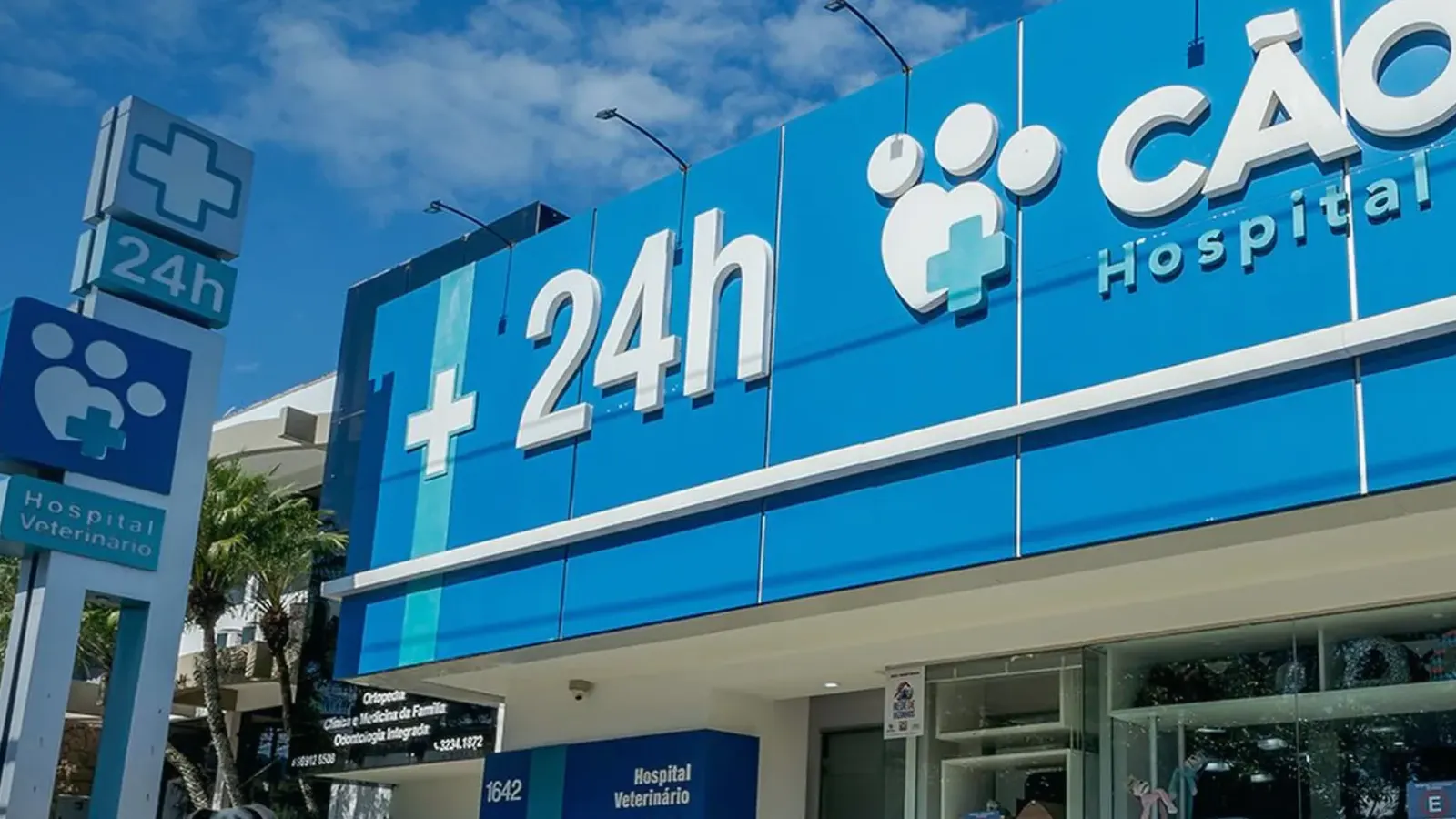 Guia de Especialidades Veterinárias em Floripa: Do Atendimento Clínico à Cirurgia Complexa