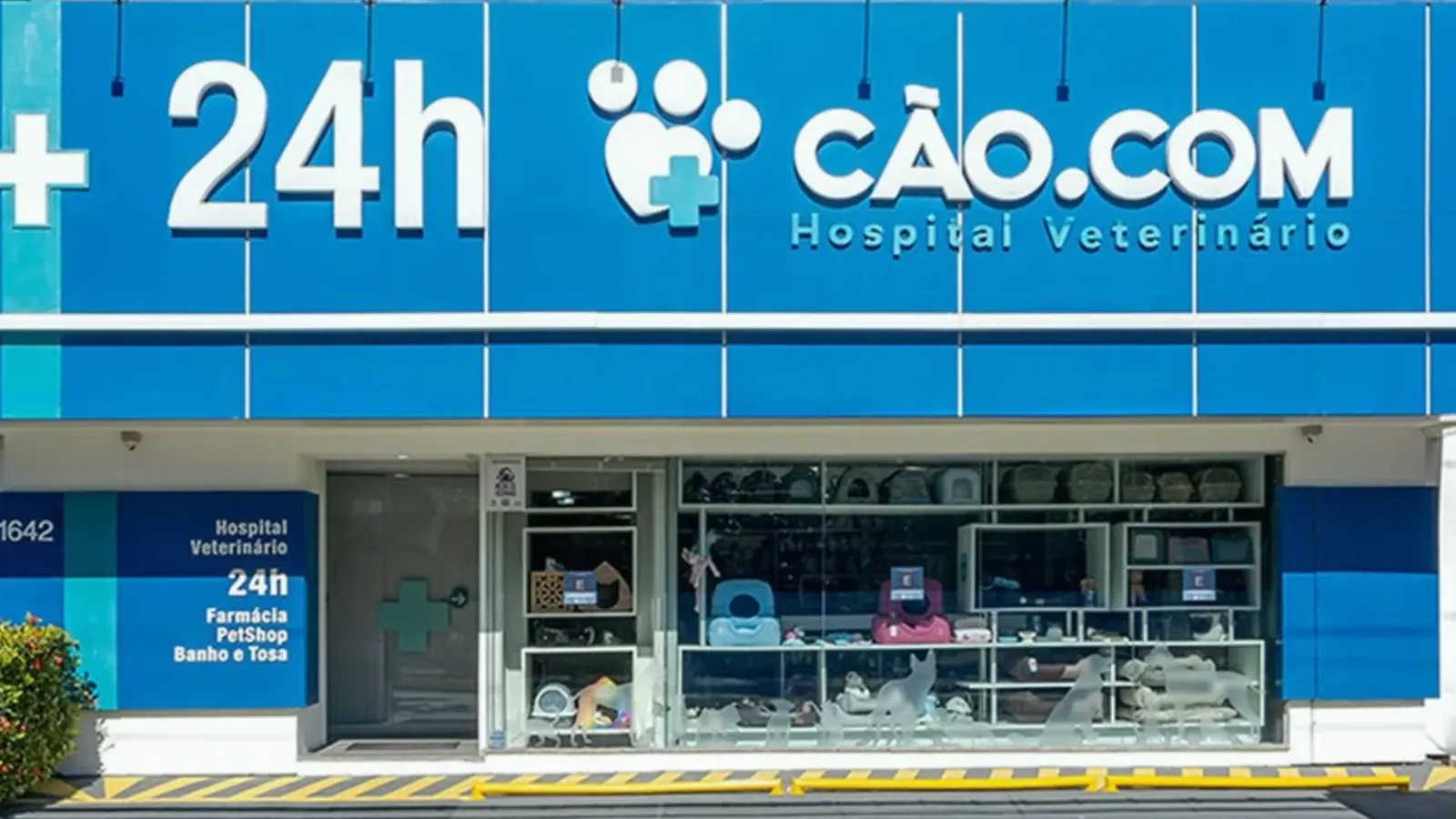 Qual um hospital veterinário em Florianópolis? Conheça a referência Cão.Com.