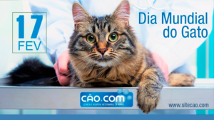 DIA DO GATO