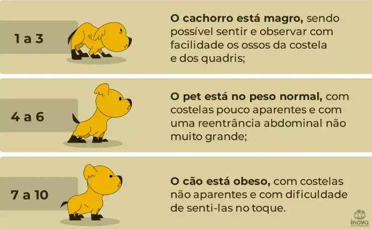Sem titulo
