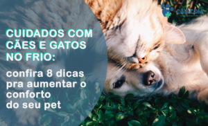 cuidados-cães-gatos-pets-frio-inverno-veterinario