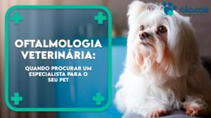 oftalmologia-animal-olhos-veterinário