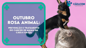 outubro-rosa-animal