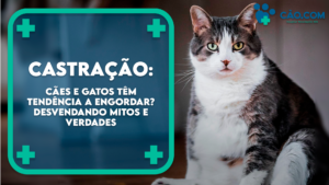 hospital veterianário cão.com em florianopolis