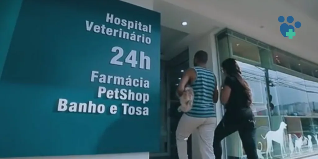 Cao.com veterinaria e referencia em florianopolis e sc